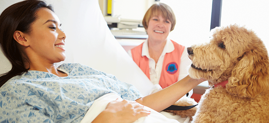 A welcome wagger with a patient