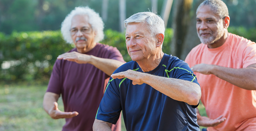 an advanced tai chi class outside