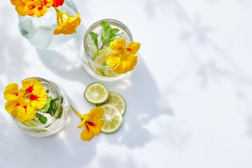 Infused Water 